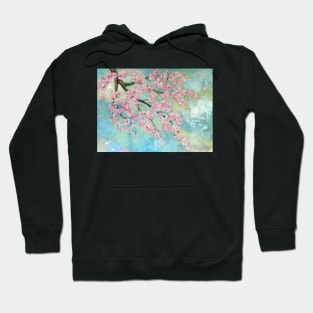 : Clouds of pink cherry blossom Hoodie